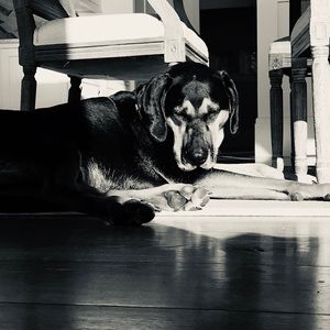 Meet your Posher, Alex